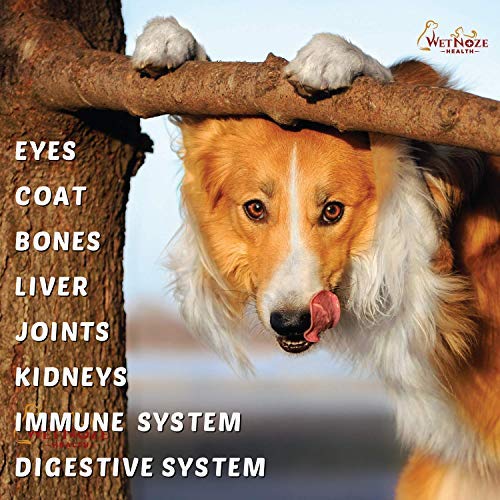 Dog Mineral Supplements The Know It All Guide Dog Products Guide