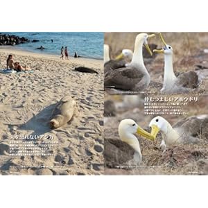 Sekai isan garapagosu shotoÌ„ kanzen gaido.