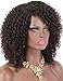 Kalyss Brown Highlights Afro Kinky Curly Wigs for Black Women Premium Synthetic Hair Wig Curved Part Natural Looking Hair Wigs for Women Daily Wear Hairpiece