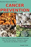 CANCER PREVENTION: Cancer Factors, Cancer Fighting Foods And How The Spices Turmeric, Ginger And Gar by Joseph Veebe