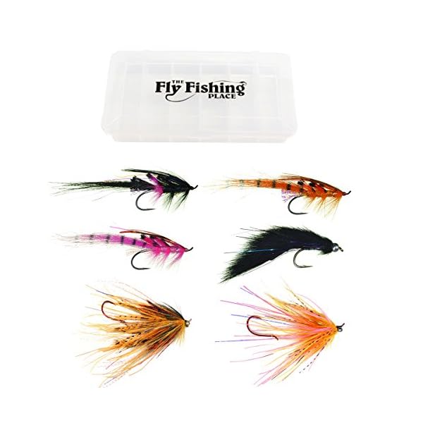 Steelhead-Fly-Fishing-Flies-Assortment-6-Aqua-Flies-3-Motion-Prawns-1-Electric-Leech-2-Mini-Intruders-1-Each-of-6-Essential-Steelhead-Color-Flies-Fishing-Fly-Collection-with-Fly-Box