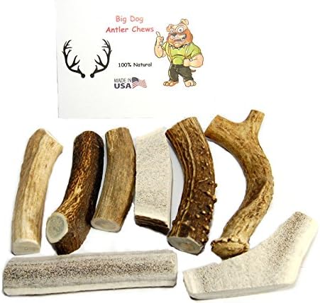 Premium Deer and Elk Antler Pieces - Small Dog Chews - Antlers by the Pound - One Pound - 3 to 6 inches - Happy Dog Guarantee!
