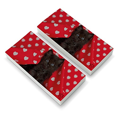 Black Ragdoll Tiffany Cat Kitten Hearts Love Eraser Set of 2