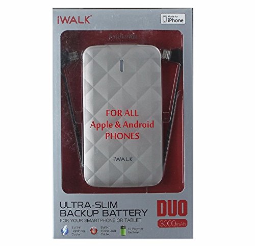 iWalk Duo UBO3000 3000mAh Rechargeable Backup Battery with Built in Lightning and Micro USB Charging Cables, Silver