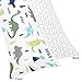 Sweet Jojo Designs Blue and Green Modern Dinosaur/Grey Chevron Prehistoric Print Full Length Double Zippered Body Pillow Case Cover