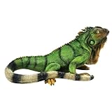 Michael Carr Designs 80059 Iguana Outdoor Statue, Medium (Lawn &amp; Patio)