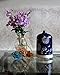 Smiley Daisy Aromatherapy Essential Oil Diffuser - Quiet Electric Ultrasonic With Beautiful Handcrafted Porcelain Cover - Continuous and Intermittent Mist With LED Light - 100 ML (Sapphire Blue)