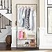 LANGRIA Heavy Duty Commercial Grade Clothing Garment Rack, 2-Tier Entryway Metal Coat Rack and Shoe Bench Storage Stand with Single Rod and 4 Hooks for Home Office Bedroom Max Capacity 66.1lbs, Black