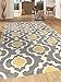 Rugshop Moroccan Trellis Contemporary Perfect for high Traffic Areas of Your Living Room,Bedroom,Home Office,Kitchen Area Rug 3'3