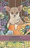 Adult Coloring Book of Chihuahuas travel size: 5x8