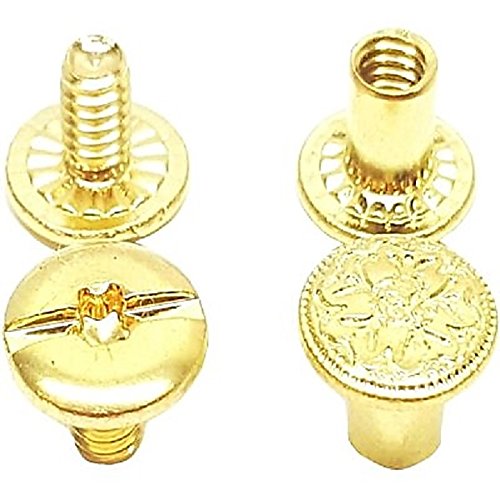 Saddles & Such 1/4" Premium Engraved Solid Brass Chicago Screw Fasteners 10 Pack
