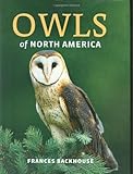 Owls of North America