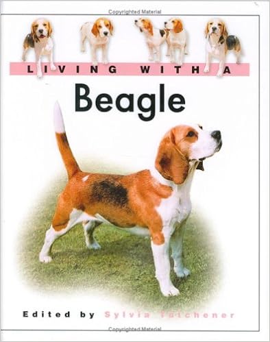 Living With A Beagle �n�[�h�J�o�[  - 2005/1/24