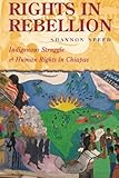 Rights in Rebellion: Indigenous Struggle and Human Rights in Chiapas