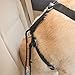 Kurgo Direct to Seatbelt Tether - Easy-Use Dog Car Harness Clip - Adjustable Ride Strap - Universal Fit for Most Vehicles - All Steel Hardware - Backseat Restraint - Orange