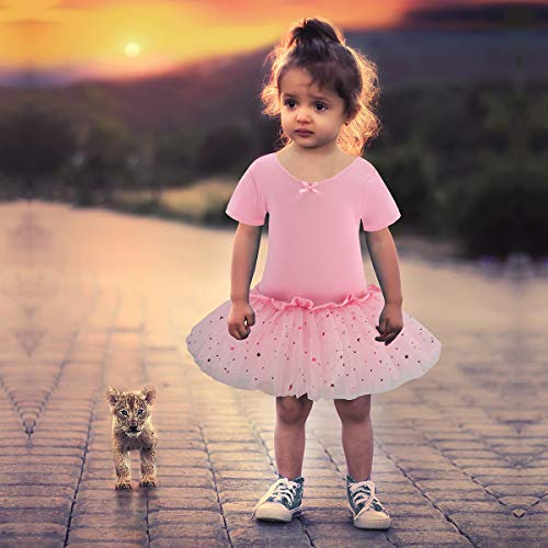 Bosowos Girls Skirted Leotard, Dance Dress Ballet Dancewear, Short Sleeve Glitter Tutu for Toddler Kid Girl