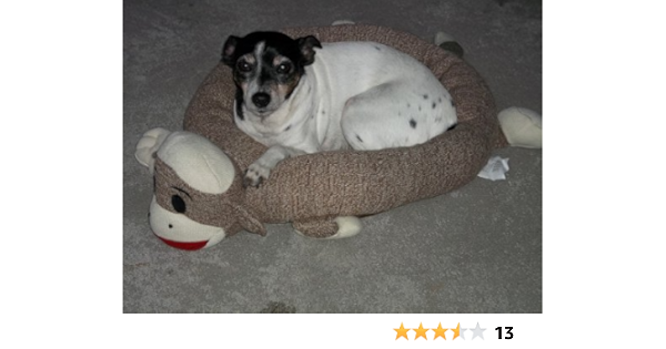 sock monkey dog bed