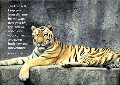 Lord Will Keep You From Harm..Tiger -Christian Bible A4 Laminated Picture Poster