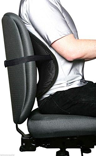 Cheenjo Cool Mesh Lumbar Support, Mesh Support for Auto Car Office Breathable Seat Chair, Taking Away Heat Reducing Perspiration Stress Lumbar Spine Back Support