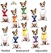 Deaf Dog Dexil Friendly Dog Collars Color Coded Dog Accident Prevention Leash 6ft/1.8m Prevents Dog Accidents by Letting Others Know Your Dog in Advance Award Winning