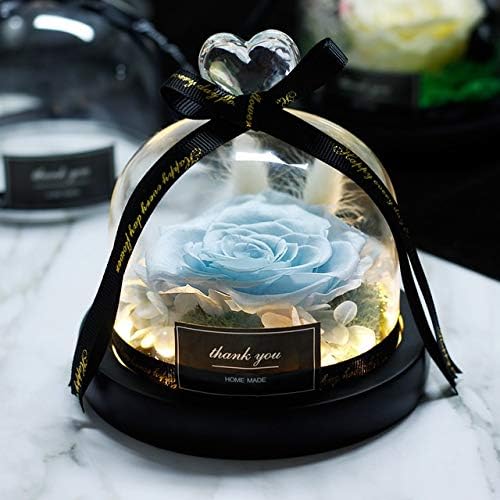 Amazon ドライフラワー ガラスフラスコ中の花バラは 恋人の誕生日プレゼントのためにガラスカバーロマンチックなギフトに不滅の花を受け取ります Btxxyjp Color 07 Size フリー ドライフラワー オンライン通販