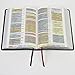 NIV Rainbow Study Bible, Pierced Cross LeatherTouch