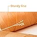 Mint's Colorful Life Kite String Handle- 300ft Line for Each Spool (3 Pack)