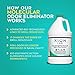 Xionlab Professional Stain Remover & Pet Odor Eliminator For Home For Strong Odor – Bio-enzyme Cleaner Remove Carpet, Furniture Stains – Cat & Dog Urine Destroyer