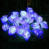 Homdox 2M 20 LED Seasonal Decoration Rose Flower Fairy String Lights for Wedding Christmas Holiday Party Decor valentine lights string (Blue)