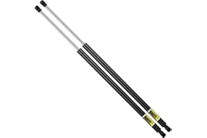 AEAGLE Liftgate Tailgate Lift Supports Struts Shocks for Chrysler Town & Country Dodge Grand Caravan 2008-2015, Ram C/V 2012-2015, 6124 SG214056 SG214057 SG214056-057 PM3017 Qty 2