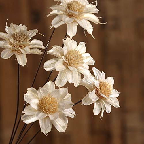 BANCHUN Cloud Camellia dried flowers decorative flower fake flower simulation flower European-style living room floor bouquet Decoration