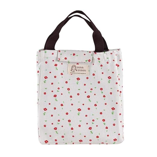 Y-XM Bolsa térmica Lienzo Bolsa Nevera de Picnic bento Fresco ...