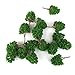 MagiDeal 20Pcs Model Trees 1/150 Scale Scenery Landscape