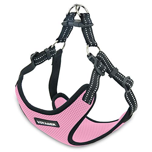 Voyager Stepin Flex Dog Harness All Weather Mesh, Step in Adjustable