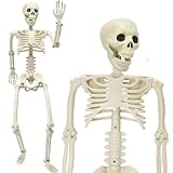 WODMAZ 36" Halloween Skeleton Decoration, 3FT