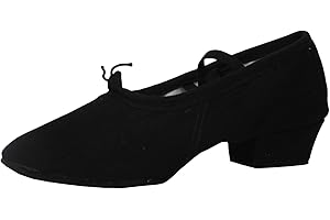 Women Latin Dance Shoes Canvas Ballroom Character Teacher Shoe Chunky Low Heel Comfy Dancing Loafers
