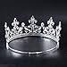 SSNUOY Adjustable Full Round Imperial Medieval Tiara Fleur De Lis King Crown Silver Finish