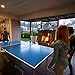 Harvil Outsider Table Tennis Table