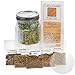 Sprout Life Sprouter & Sprouting Kit with 5 Varieties of Sprouting Seeds Plus a Sprouting Recipe Book Download
