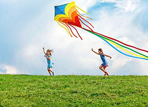 Zhuoyue Kite- Rainbow Diamond Kite for Kids and Adults, Easy to Fly Kite for Beginner, The Best Kite for The Beach and Outdoor Games Activities
