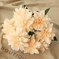 Homyu 10 Heads Dahlia Fake Flowers Artificial Dahlia Flowers Faux Flowers for Home Wedding Party Office Supplies (Champagne)