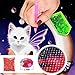 DIY 5D Diamond Painting Kits for Adults Full Drill Embroidery Paintings Rhinestone Pasted DIY Painting Cross Stitch Arts Crafts for Home Wall Decor 30x40cm/11.8×15.7Inches (Moon Cat)