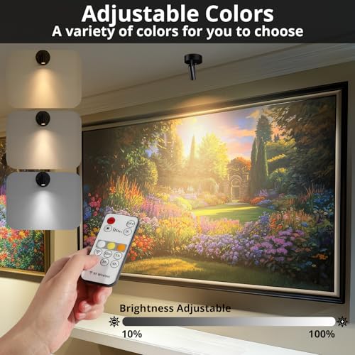TaoFiaCo Rechargeable LED Wall Spotlights for Indoor Black 2 Pieces – USB Wall Light with Remote Control 3 Colours – Wireless LED Spotlight for Lighting Paintings Plants Bedroom