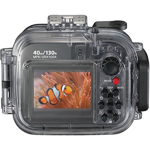 Best Underwater Cameras for Snorkeling in 2019 for Every Budget