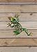 LIFFY Metal Frog Wall Art - Frog Outdoor Wall Decor - Garden Frog Decor for Patio Fence, Pretty Gift Idea - 12inch