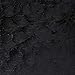 Winsor & Newton Winton Oil Color, 200ml (6.75-oz) Tube, Lamp Black