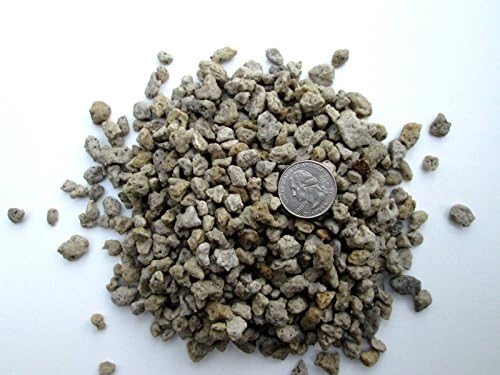 10 CUPS PUMICE - 3/8"+ - 1/4"+, Bonsai Soil, Succulents, Cactus & soil mixes