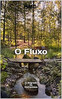 Livro O Fluxo: O Segredo da Correnteza (Energia)