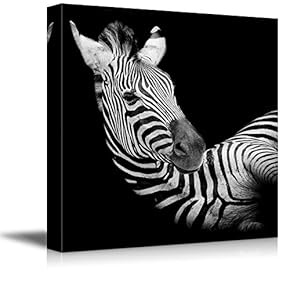 Canvas Prints Wall Art - A Headshot of a Burchell Zebra Wild Animal Photograph | Modern Wall Decor/Home Decoration Stretched Gallery Canvas Wrap Giclee Print & Ready to Hang - 12" x 12"
