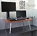 The Executive Stand Steady Standing Desk/Stand up Desk (Black)